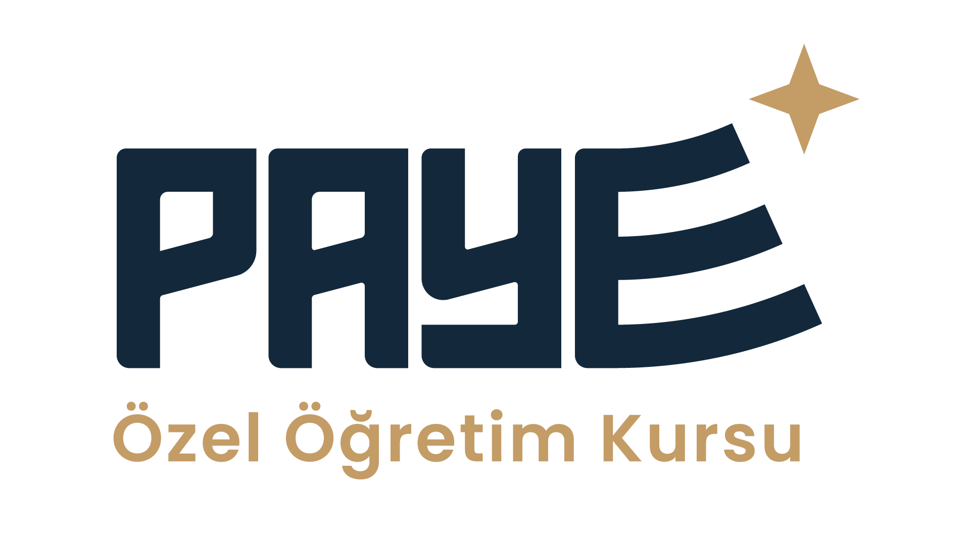 PAYE Özel Öğretim Kursu